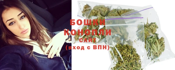 ECSTASY Бронницы