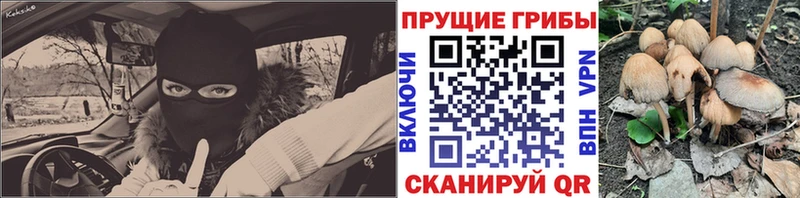 Псилоцибиновые грибы Psilocybine cubensis Смоленск